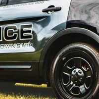 <p>A Newberry Township police vehicle</p>