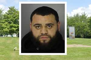 Grave Robber Arrest In Swatara Township: Police