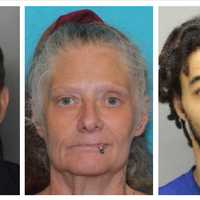 55+Animals Found In Conoy Township Freezer, 20+ Abandoned In Home, Trio Charged: DA