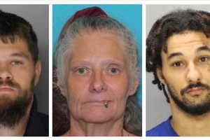 55+Animals Found In Conoy Township Freezer, 20+ Abandoned In Home, Trio Charged: DA