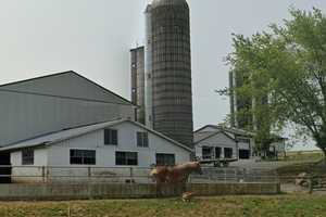 Amish Farm Has Two-Alarm Barn Fire: Authorities