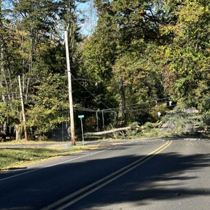 The scene of the downed trees in Doylestown.&nbsp;