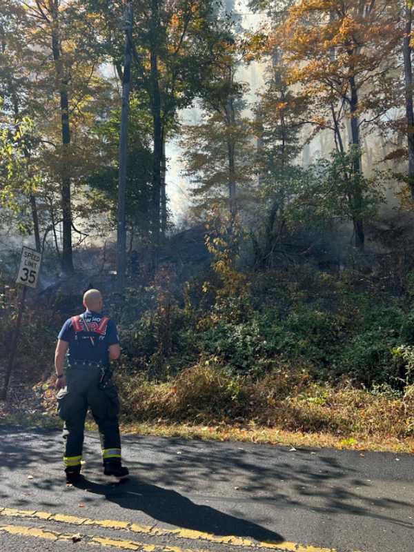 Large Brush Fire Closes Part Of Rt 32 In Bucks County: Police