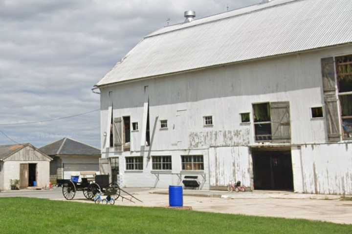 Accident On Amish Farm In Paradise Township Requires Multiple Ambulances (DEVELOPING)