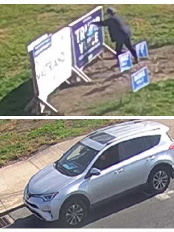 Trump Sign Damaged In Pennsylvania, Maryland Woman Sought: Police