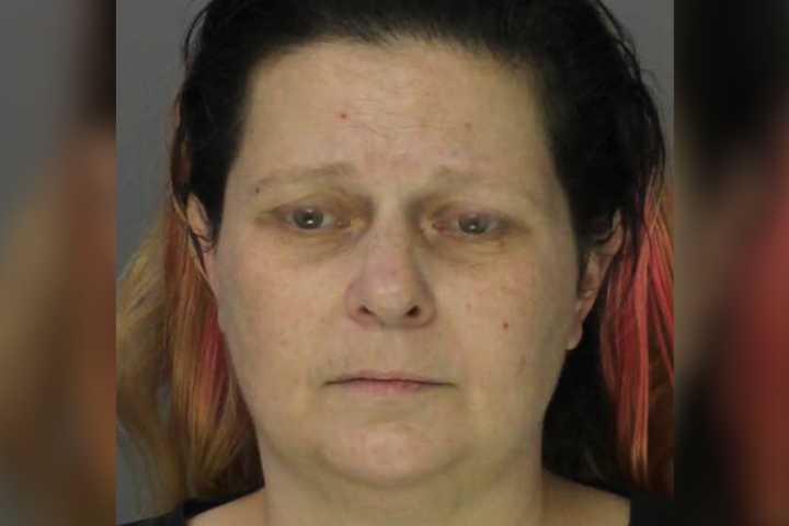 Fatal Fentanyl Overdose Lands Woman Felony Charges: Lower Paxton Police