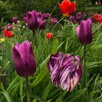 Mother’s Day 2025 Is In Full Bloom — Here’s What Everyone’s Giving