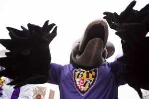 Two Points Short: Ravens Aim Higher In 2025