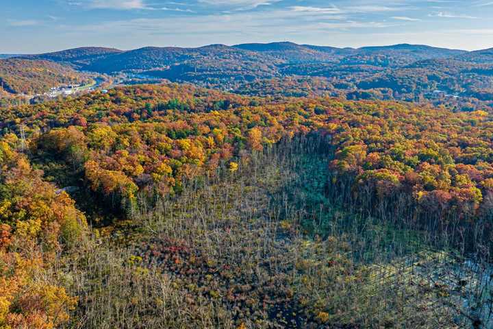 Rockland Buys 236 Acres In Largest Open Space Acquisition Ever In Sloatsburg, Officials Say