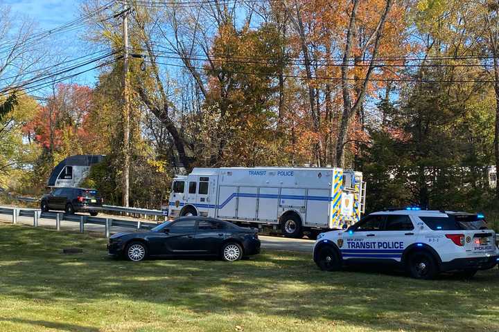 Driver Disregarded Crossing Gates Before Being Killed By Hoboken-Bound Train: Officials