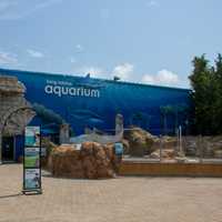 Best Family Activity On Long Island In 2024: Long Island Aquarium