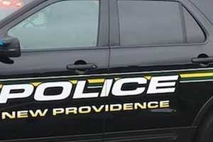 DUI Driver Strikes Officers During Traffic Stop On Route 78, 3 Hospitalized: Police