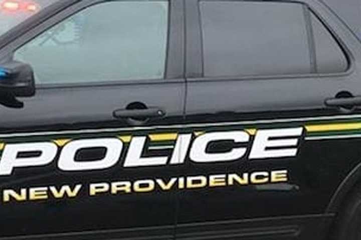 DUI Driver Strikes Officers During Traffic Stop On Route 78, 3 Hospitalized: Police