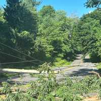 <p>A photo of some of the damage at the intersection of Lake Road and Route 202 in Somers. </p>