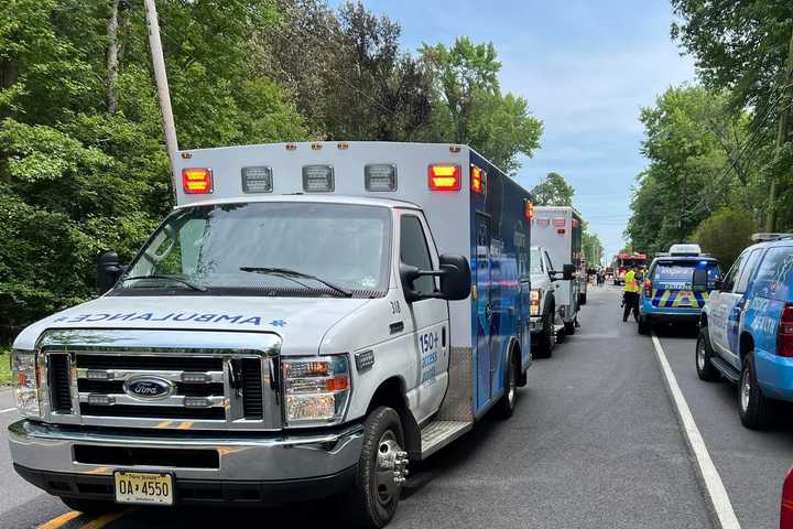 Trapped Man Under Tree Prompts Warning From Police In NJ