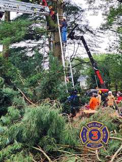 Farm Owner, Firefighters Help Rescue Man Trapped By Tree 30 Feet Above The Ground In Maryland