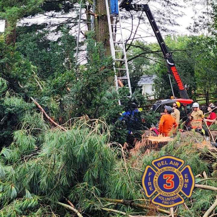 The scene of the rescue in Bel Air