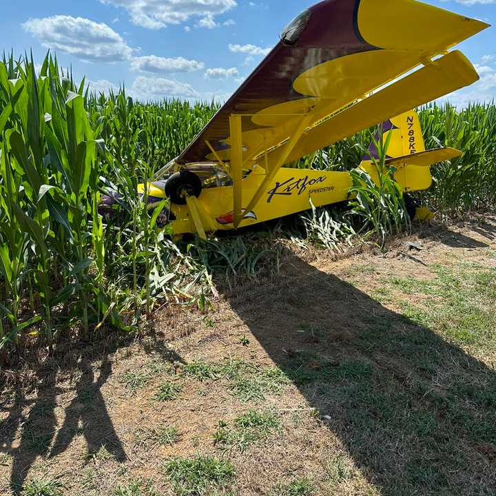 The crash landed plane in a cornfield.