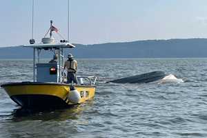 10 Escape After Boat Capsizes On Hudson River Off Island In Cortlandt