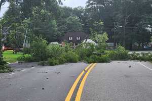 Downed Tree Shuts Route 17 Ramp In Waldwick As Heavy Winds Wreak Havoc Across NJ