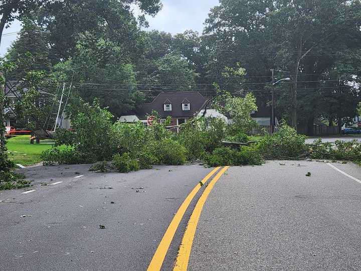 Downed tree on Kinderkamack Road.