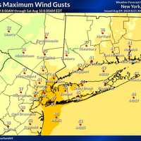 <p>A map of maximum wind gusts in the Hudson Valley and on Long Island during Friday, Aug. 9. Areas that are expected to receive stronger winds are depicted in dark yellow.&nbsp;</p>