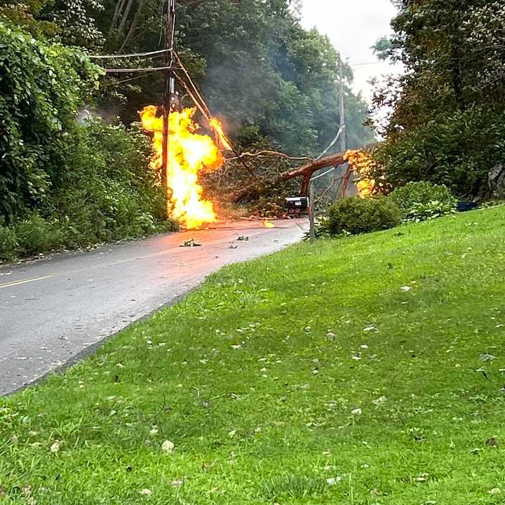 A fallen tree sparked a fire on Bucks Hollow Road in Carmel.&nbsp;