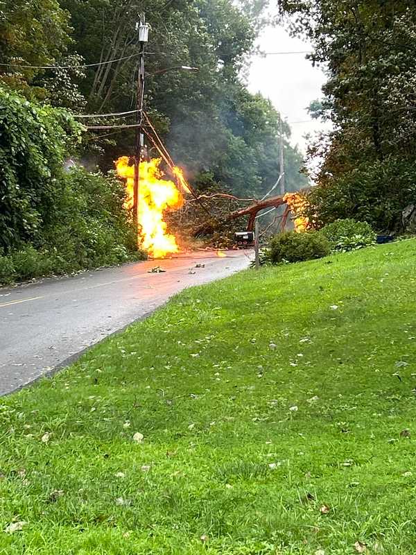 Large Tree Falls On Wires, Sparks Blaze In Hudson Valley