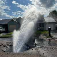 <p>A water main break doused a home with water on Woodbrook Drive in Edison, NJ, on August 12, 2024.
  
</p>