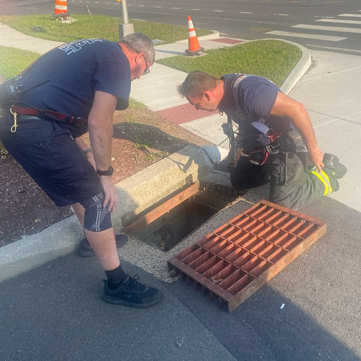 Firefighters working to save the kittens.&nbsp;