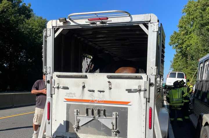 Cherry Hill firefighters extricated doors of the trailer to remove the horses.