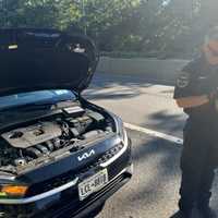 Kitten Rescued From Under Car Hood On Parkway In Westchester