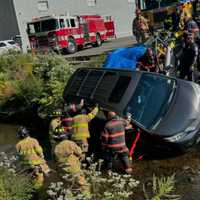 Firefighter Attacked By Bees At Car Wash Among 2 Epi-Pen Saves By Norwood EMS Hours Apart