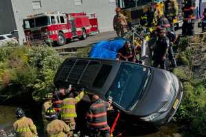 Firefighter Attacked By Bees At Car Wash Among 2 Epi-Pen Saves By Norwood EMS Hours Apart