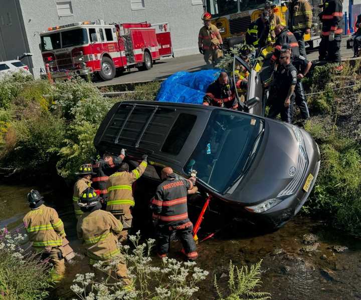 A firefighter assisting at the scene of a vehicle down an embankment was attacked by bees in Northvale over the weekend.