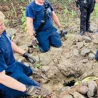 <p>The dog was rescued from the pipe.</p>