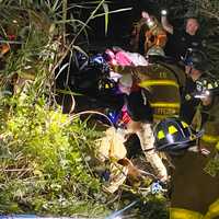 Trapped Driver Rescued After Crashing Into Swamp In Hudson Valley