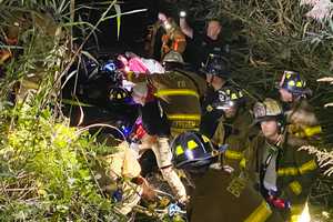 Trapped Driver Rescued After Crashing Into Swamp In Region