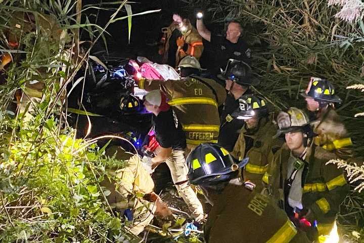 Trapped Driver Rescued After Crashing Into Swamp In Hudson Valley