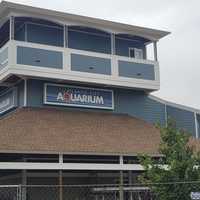 <p>The renovated exterior of the Atlantic City Aquarium.</p>