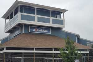 'Our Number One Jewel': Atlantic City Aquarium Reopening Delayed Again, Renovations Wrapping Up