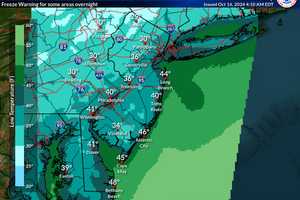 Freeze Warning: Temps To Dip Into 40s Tonight In Camden County