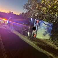 6 Cows On Run After Tractor-Trailer Hauling Cattle Crashes In Region