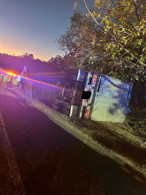 6 Cows On Run After Tractor-Trailer Hauling Cattle Crashes In Hudson Valley