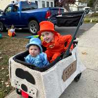 <p>Oliver and Preston, 3 and 5, of Dumont, as Mutt Cutts from "Dumb &amp; Dumber."</p>