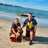 Rescuers Save Dog Caught In Tide In Hereford Inlet, Firefighters Say