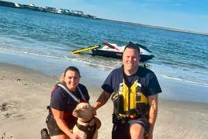 Rescuers Save Dog Caught In Tide In Hereford Inlet, Firefighters Say