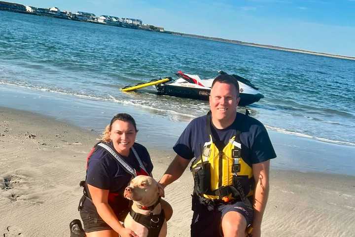 Firefighters Save Dog Caught In Tide In Hereford Inlet, Firefighters Say