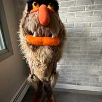 <p>Mason, 6, of Maywood, as Sweetums from the Muppets.</p>