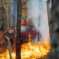 <p>A 52-acre wildfire that burned in Evesham Township, NJ, on October 30, 2024.
  
</p>